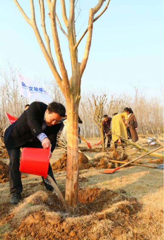 又是一年春好處，植樹造林正當(dāng)時(shí)——市文旅集團(tuán)組織開展2019年義務(wù)植樹活動(dòng)(圖2)