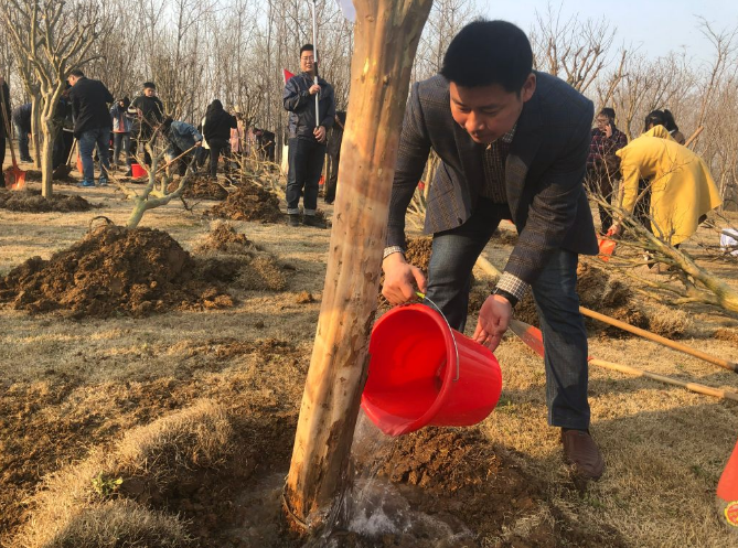 又是一年春好處，植樹造林正當(dāng)時(shí)——市文旅集團(tuán)組織開展2019年義務(wù)植樹活動(dòng)(圖3)