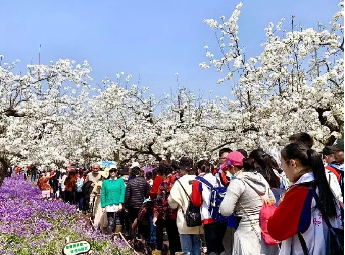 持之以恒規(guī)范旅游市場(chǎng)秩序，堅(jiān)定不移維護(hù)良好旅游形象(圖3)